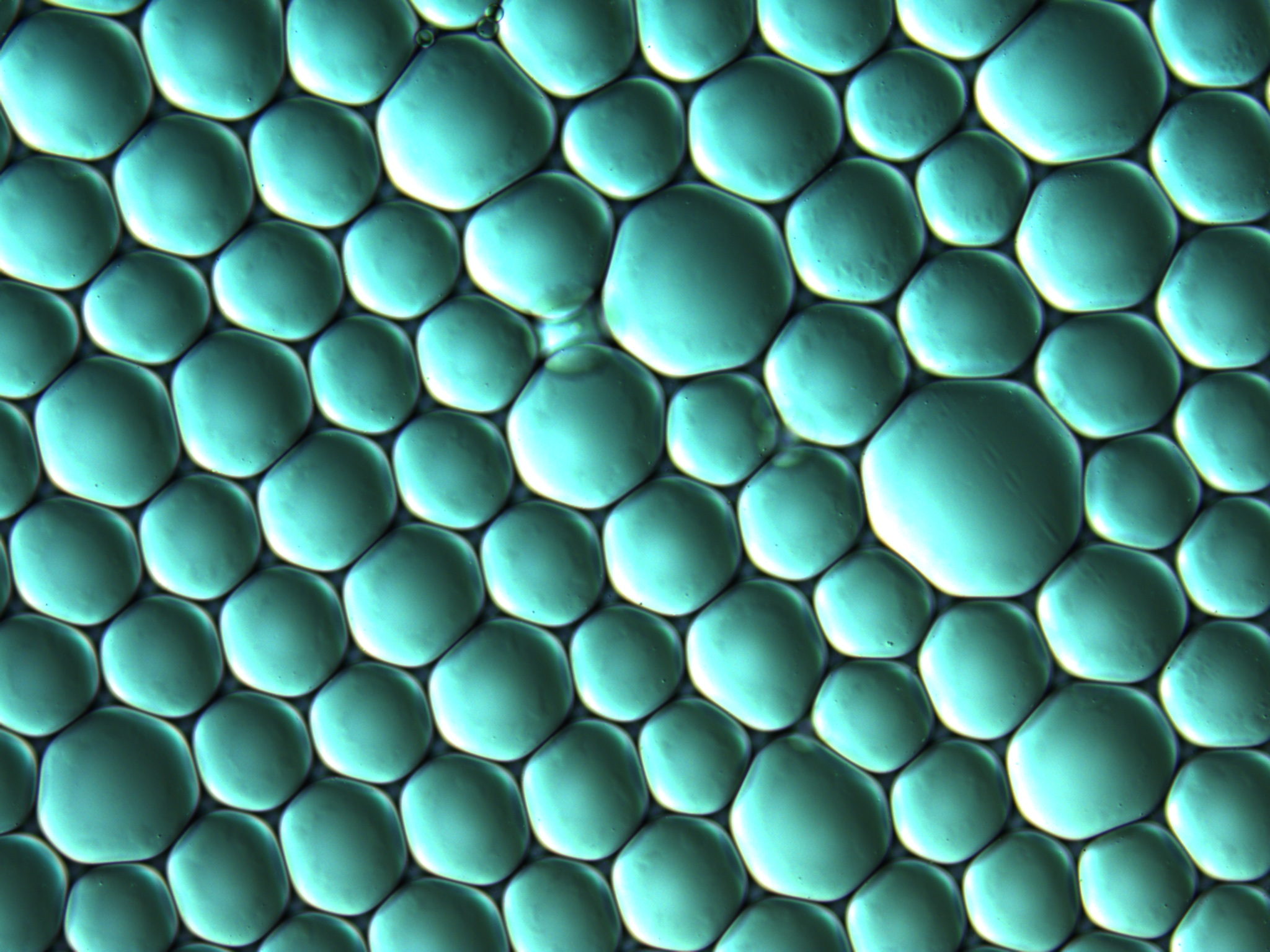 Nanoliter Liquid Droplets